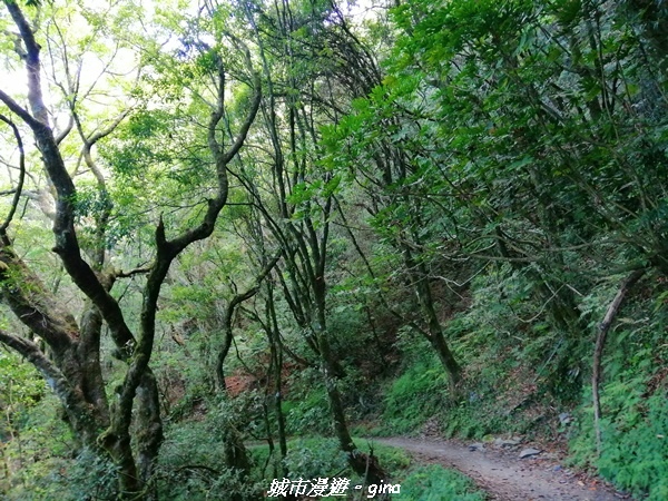 IMG_20210420_100719.jpg IMG_20210420_100719.jpg