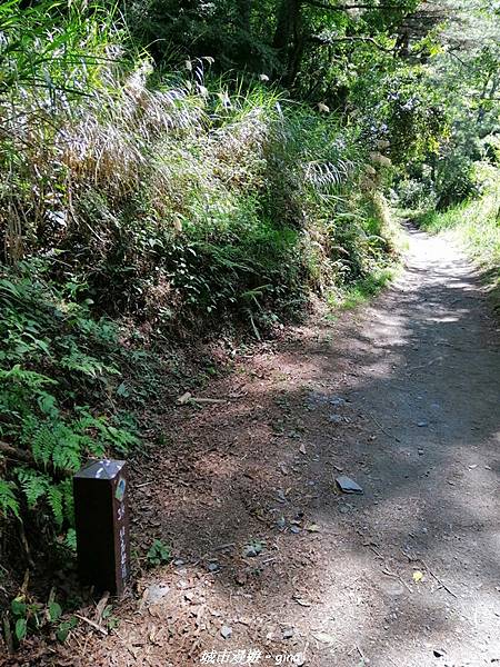 IMG_20210420_095449.jpg IMG_20210420_095449.jpg