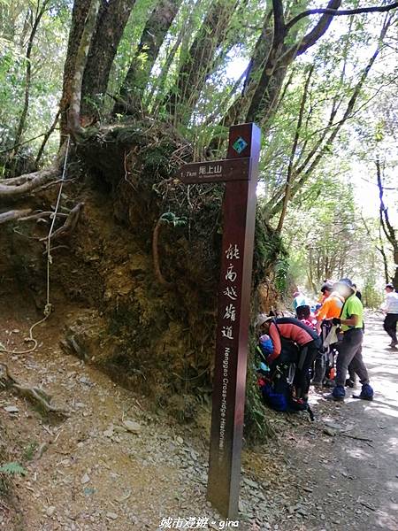 IMG_20210420_101903.jpg IMG_20210420_101903.jpg