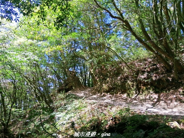 IMG_20210420_102616.jpg IMG_20210420_102616.jpg