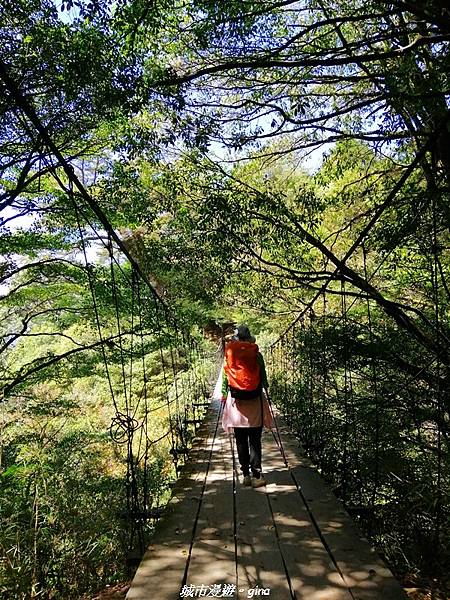 IMG_20210420_102520.jpg IMG_20210420_102520.jpg