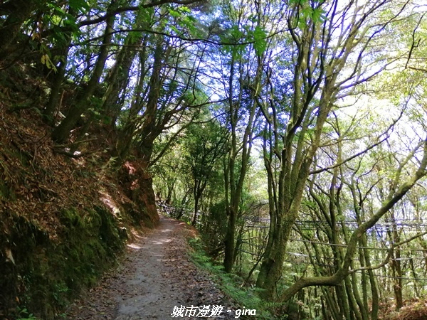 IMG_20210420_102649.jpg IMG_20210420_102649.jpg