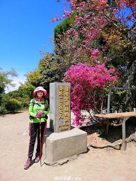 IMG_20210420_103714.jpg IMG_20210420_103714.jpg