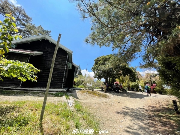 IMG_20210420_103715.jpg IMG_20210420_103715.jpg