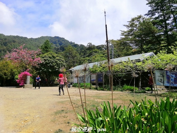 IMG_20210420_104618.jpg IMG_20210420_104618.jpg