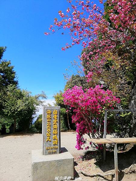 IMG_20210420_103604.jpg IMG_20210420_103604.jpg