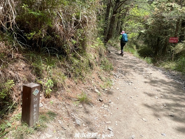 IMG_20210420_105624.jpg IMG_20210420_105624.jpg