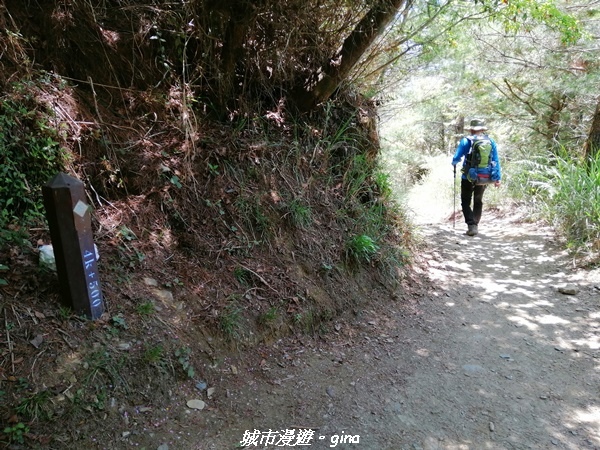 IMG_20210420_104724.jpg IMG_20210420_104724.jpg