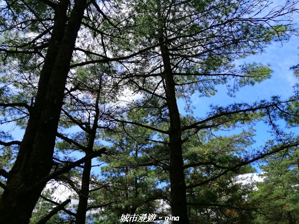 IMG_20210420_104919.jpg IMG_20210420_104919.jpg