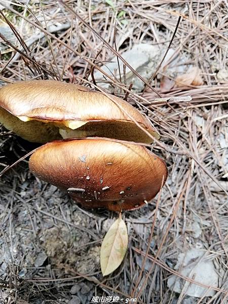 IMG_20210420_110353.jpg IMG_20210420_110353.jpg