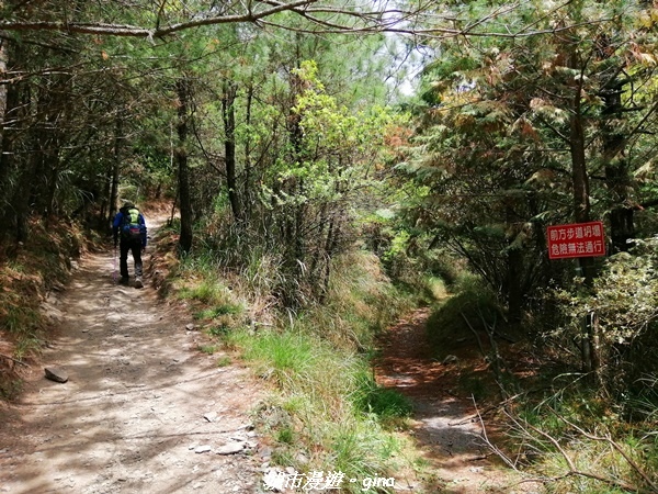 IMG_20210420_105651.jpg IMG_20210420_105651.jpg