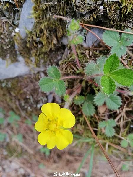 IMG_20210420_111449_1.jpg IMG_20210420_111449_1.jpg