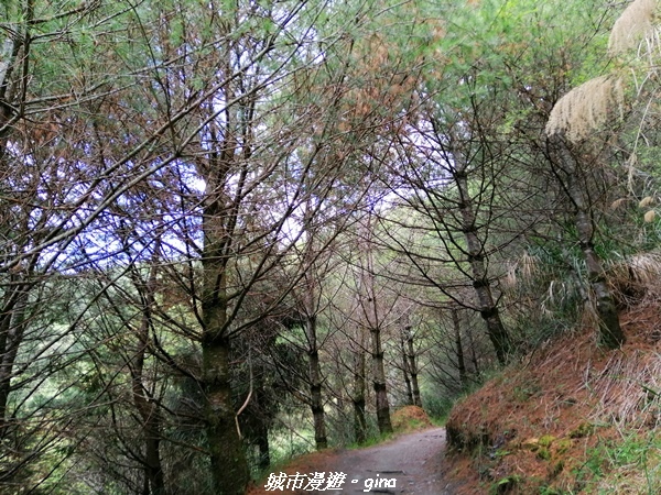 IMG_20210420_111948.jpg IMG_20210420_111948.jpg