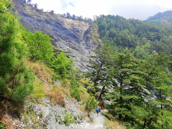 IMG_20210420_112333.jpg IMG_20210420_112333.jpg