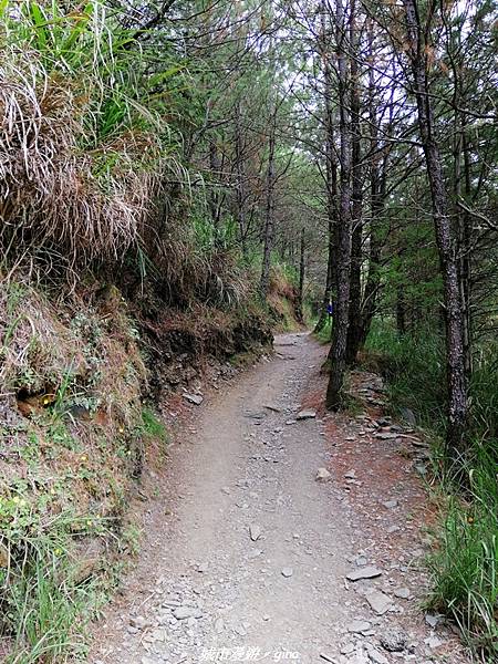 IMG_20210420_111053.jpg IMG_20210420_111053.jpg