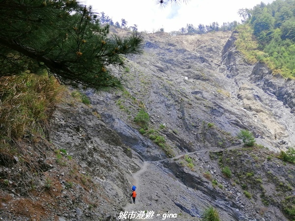 IMG_20210420_112523.jpg IMG_20210420_112523.jpg