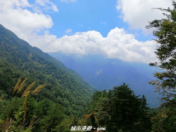 IMG_20210420_112337.jpg IMG_20210420_112337.jpg