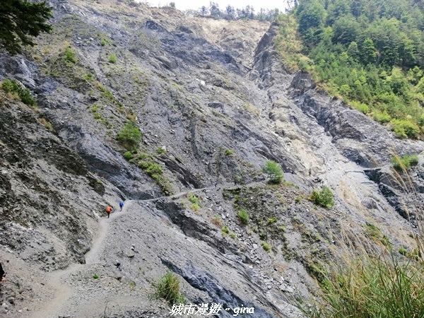 IMG_20210420_112537.jpg IMG_20210420_112537.jpg