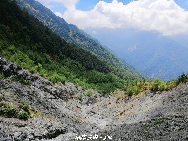 IMG_20210420_112837.jpg IMG_20210420_112837.jpg