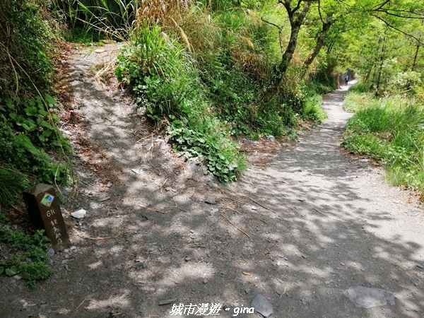 IMG_20210420_113448.jpg IMG_20210420_113448.jpg