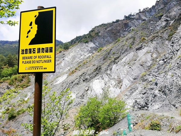 IMG_20210420_113437.jpg IMG_20210420_113437.jpg