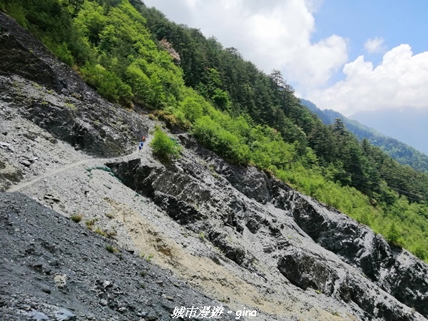 IMG_20210420_113111.jpg IMG_20210420_113111.jpg