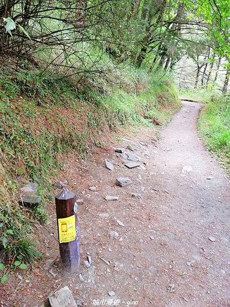 IMG_20210420_114415.jpg IMG_20210420_114415.jpg