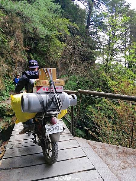 IMG_20210420_122731.jpg IMG_20210420_122731.jpg