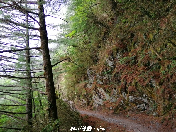 IMG_20210420_130138.jpg IMG_20210420_130138.jpg