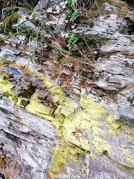 IMG_20210420_130107.jpg IMG_20210420_130107.jpg