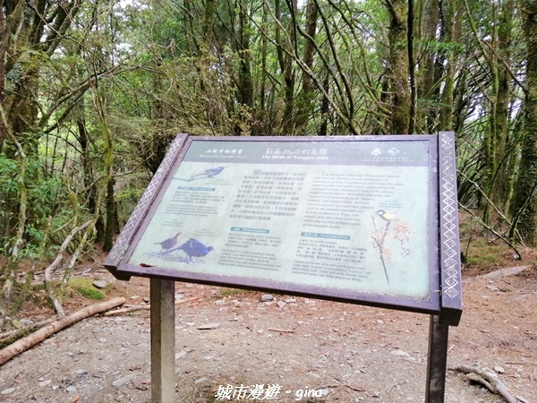 IMG_20210420_131013.jpg IMG_20210420_131013.jpg