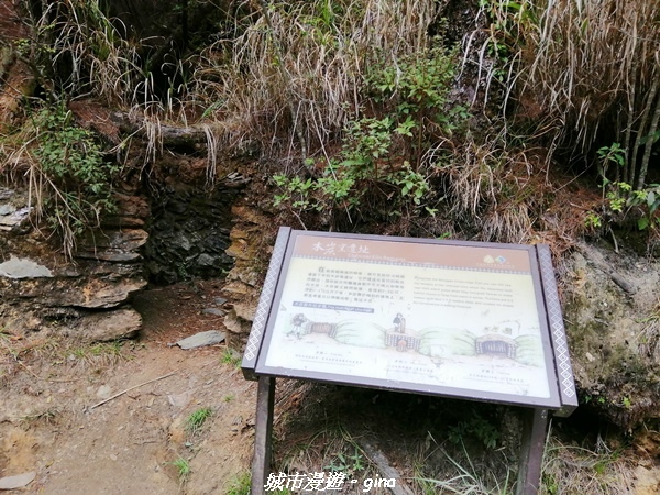 IMG_20210420_131425.jpg IMG_20210420_131425.jpg