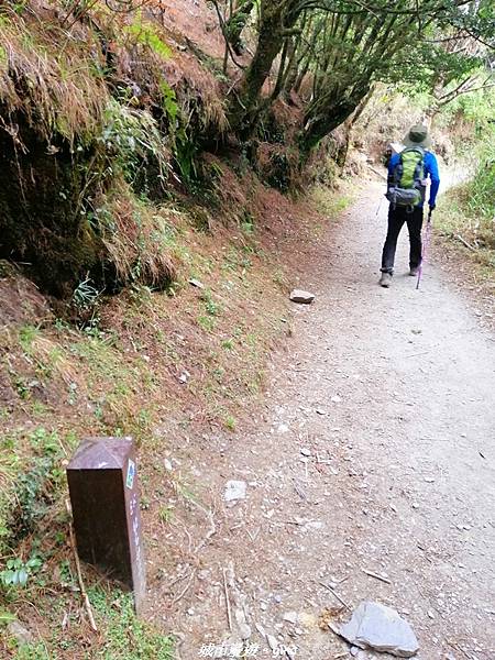 IMG_20210420_131400.jpg IMG_20210420_131400.jpg