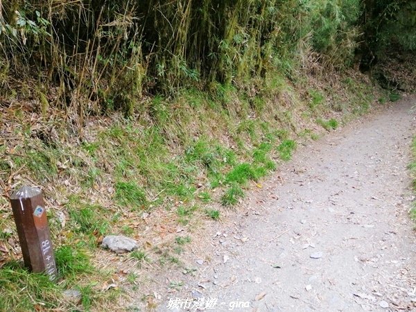 IMG_20210420_132619.jpg IMG_20210420_132619.jpg