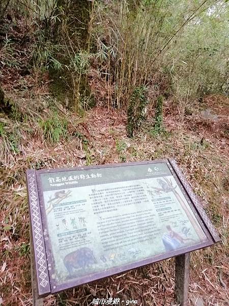 IMG_20210420_133141.jpg IMG_20210420_133141.jpg