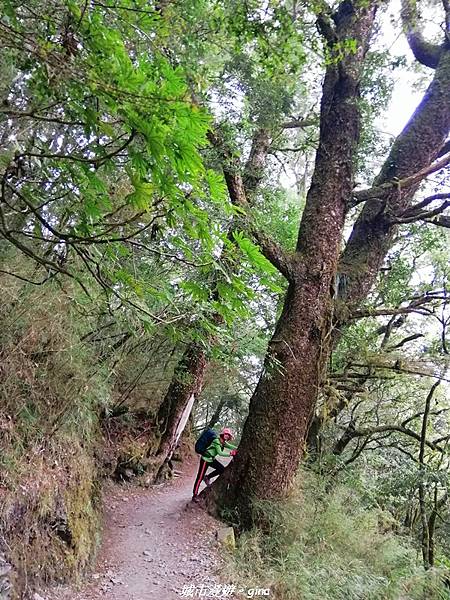 IMG_20210420_133005.jpg IMG_20210420_133005.jpg