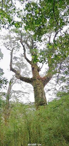 IMG_20210420_131829.jpg IMG_20210420_131829.jpg