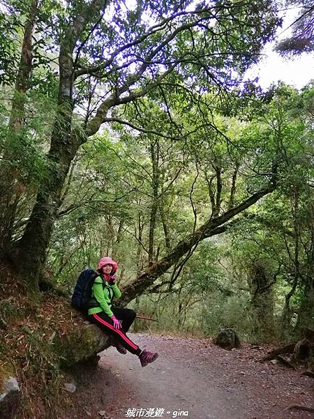 IMG_20210420_133325.jpg IMG_20210420_133325.jpg