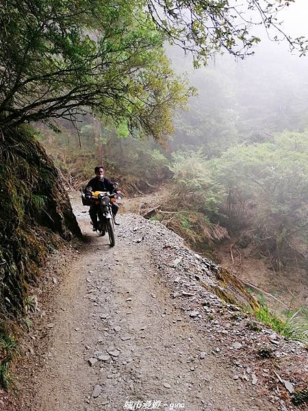 IMG_20210420_133951.jpg IMG_20210420_133951.jpg