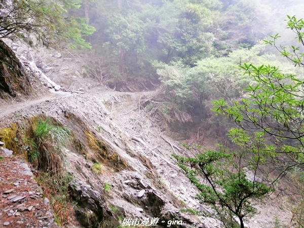 IMG_20210420_133917.jpg IMG_20210420_133917.jpg