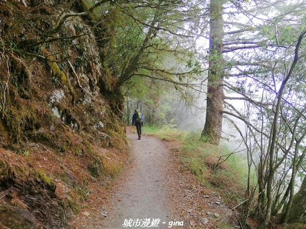 IMG_20210420_133754.jpg IMG_20210420_133754.jpg