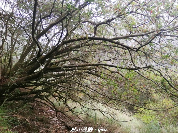 IMG_20210420_133751.jpg IMG_20210420_133751.jpg