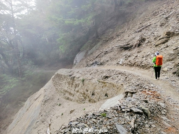 IMG_20210420_134124.jpg IMG_20210420_134124.jpg