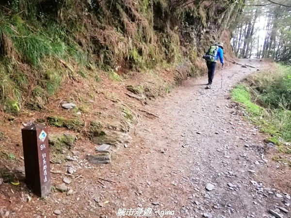 IMG_20210420_134549.jpg IMG_20210420_134549.jpg