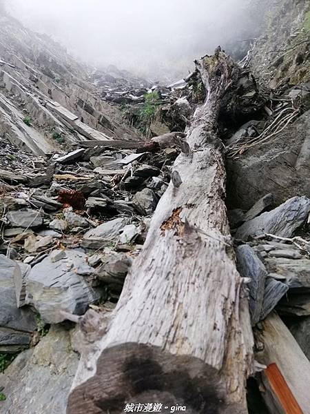 IMG_20210420_134057.jpg IMG_20210420_134057.jpg