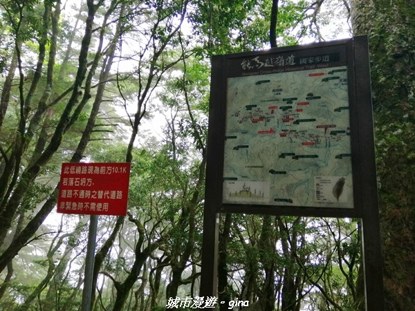 IMG_20210420_135329.jpg IMG_20210420_135329.jpg