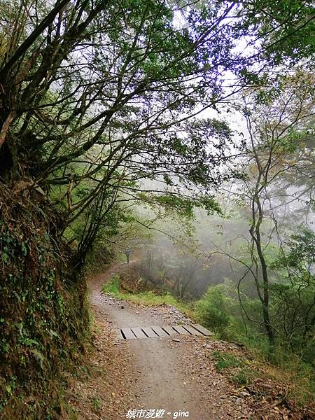 IMG_20210420_134152.jpg IMG_20210420_134152.jpg