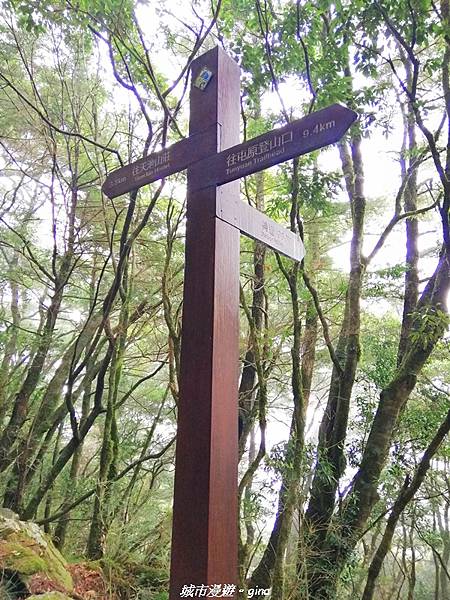 IMG_20210420_135349.jpg IMG_20210420_135349.jpg