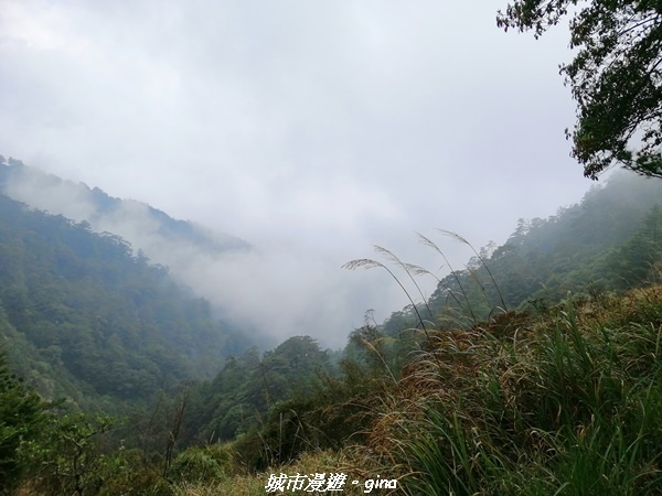 IMG_20210420_140507.jpg IMG_20210420_140507.jpg