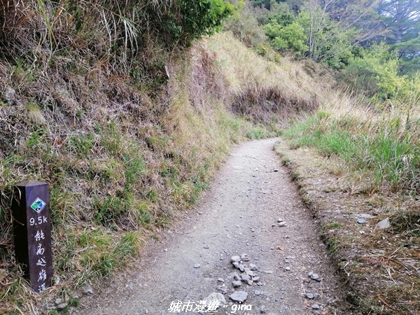 IMG_20210420_135929.jpg IMG_20210420_135929.jpg